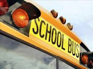  School bus